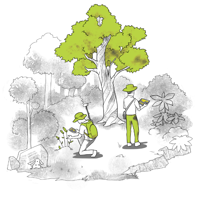API image