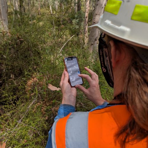 Navigate to the Chemical Use Reporting page