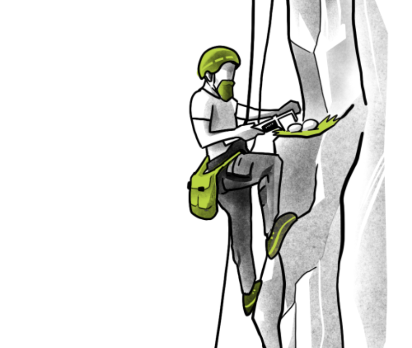 API image