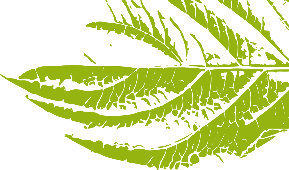 Data image